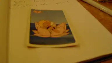 SC 2006 - Sázava Cup 2006