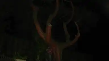 SC 2008 - Zlatá osmdesátá