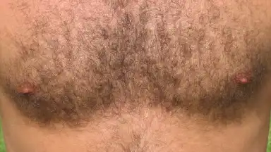 SC 2008 - Zlatá osmdesátá