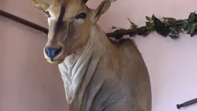 SC 2007 - Sázava Cup 2007